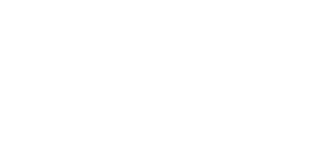 nasen Academy logo
