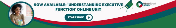 advertising banner for online unit 14. Banner reads 'now available: understanding executive function online unit. Start now.'