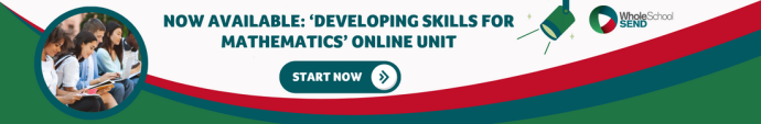 advertising banner for online unit 17. Banner reads 'now available: developing skills for mathematics online unit. Start now.'