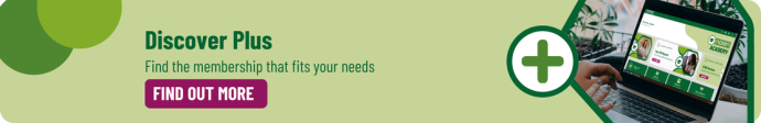 Discover Plus, the membership that suits your needs, find out more