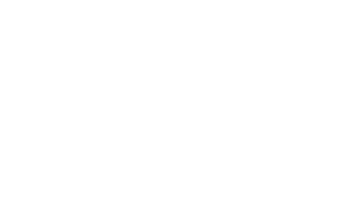nasen core logo